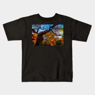 Mount Auburn Cemetery Japanese Maple Tree Fall Foliage Cambridge MA Kids T-Shirt